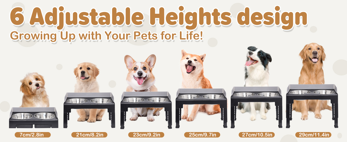Підвищені годівниці для собак з перегородкою, 2 великі миски, регульована висота, для малих, середніх та великих собак