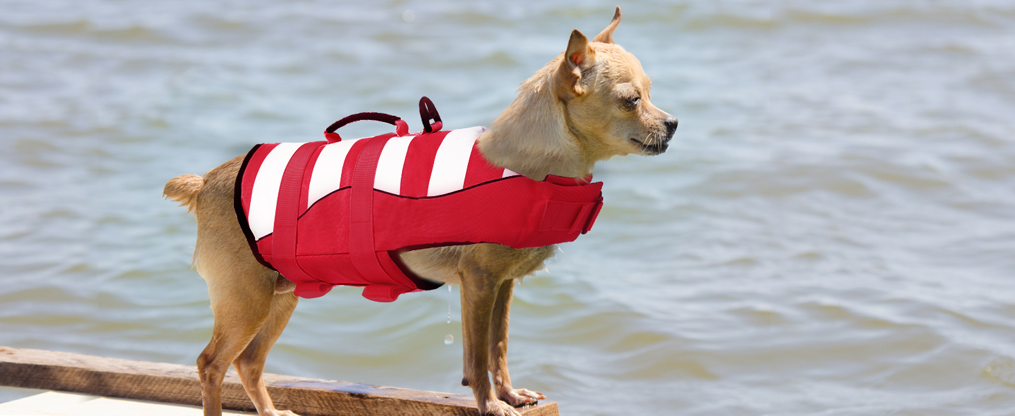 Спасальний жилет для собак, блакитний, розмір S, для джек-рассел, чихуахуа, французький бульдог, лабрадор - ASENKU