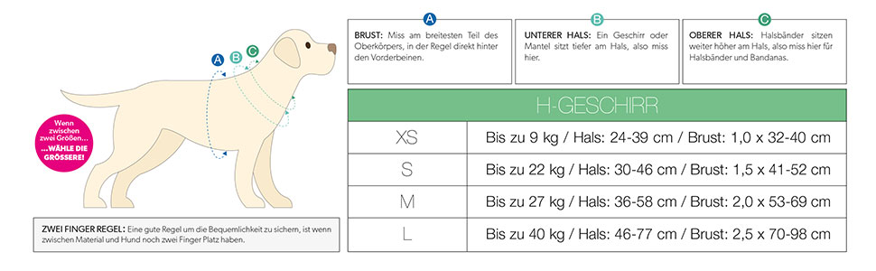 Нашийник для собак Max & Molly H-подібної форми, Ultrabequemes Geschirr Hund, Neopren, XS, для маленьких собак, з підкладкою, безпечний та ультралегкий, для комфорту вашого улюбленця