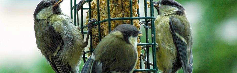 Дім для птахів Dobar® 21391e з годівницею, з дерева, камуфляж, 35x35x29 см