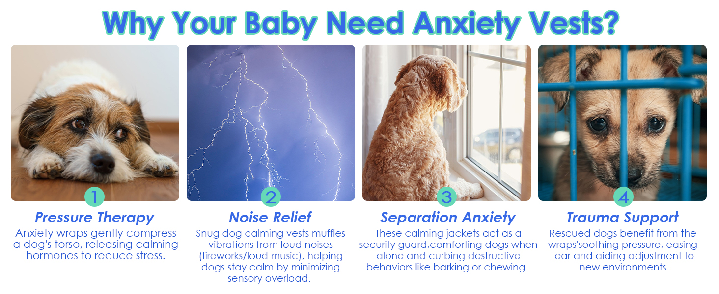 Жилет-заспокійник для собак IECOii, фіолетовий, S (обхват грудей 41-51 см), з відбиваючими смугами