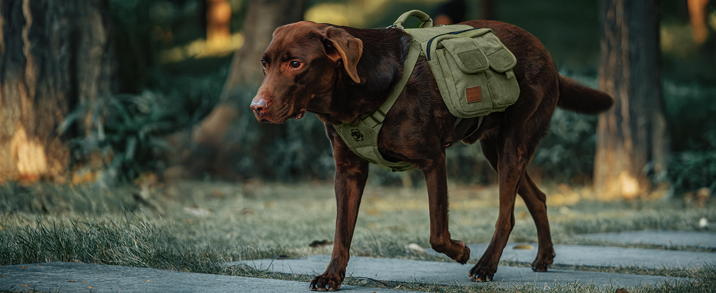 Шлейка для собак OneTigris з рюкзаком, Hoppy Camper 3.0, для кемпінгу та піших прогулянок, зелена, L