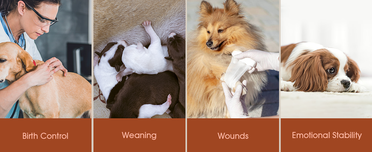 Тільце для собак після операції Kuoser: захист від лизання, дихаюча тканина, рожевий колір, XS (1 шт.)