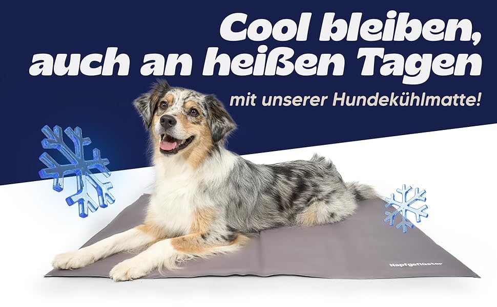 Килимок охолоджуючий для собак NALA, розмір S (65x50x1 см)