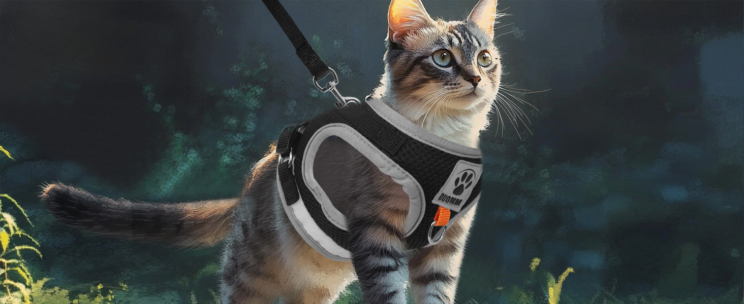 Нашийник для кота Bindokun з повідком, антивитік, комплект, чорний, S