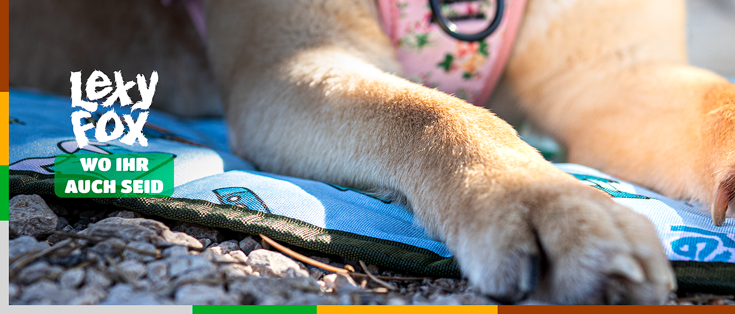 Водонепроникний килимок для собак | Зручний у подорожах, ізольований, з неслизькою поверхнею | Підходить для кемпінгу та відпочинку | Легкий, миючий, для собак