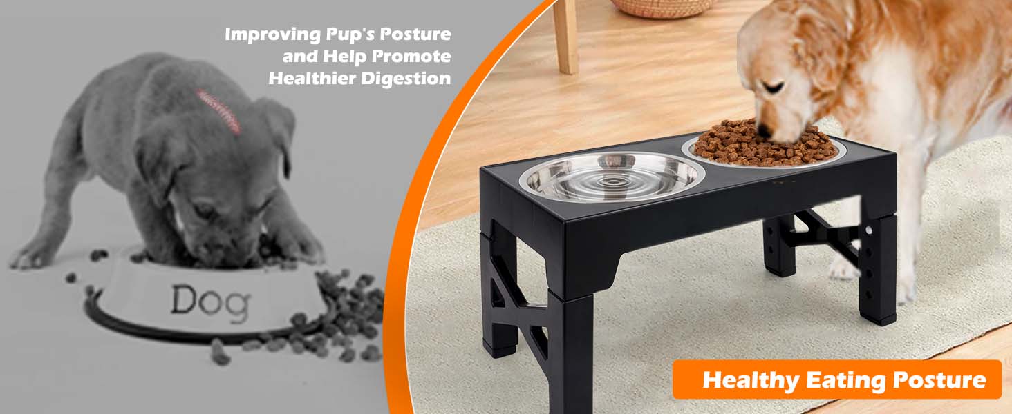 Підвищена годівниця для собак та котів, регульована висота, з нержавіючої сталі, 2 миски, чорна