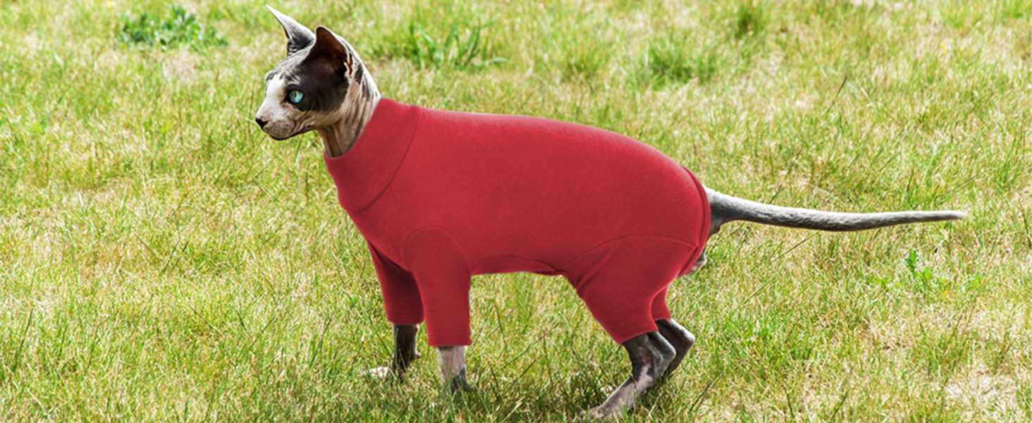 Піжама для котів після операції, боді для відновлення після операції, анти-слинящий, з довгим рукавом, 4 ноги (червоний, M)