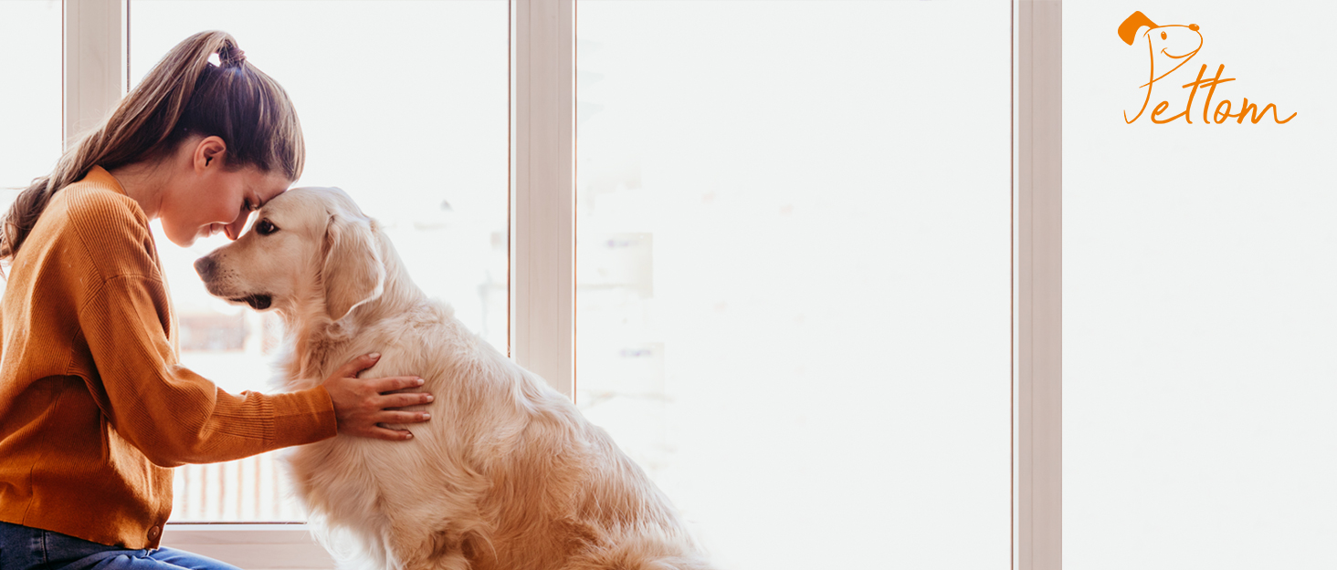 Підвищена годівниця для собак PETTOM (2 x 1.6л), 4 положення регулювання висоти, годівниця з нержавіючої сталі, миска для води без протікання, складна та нековзна годівниця для собак великих та маленьких порід