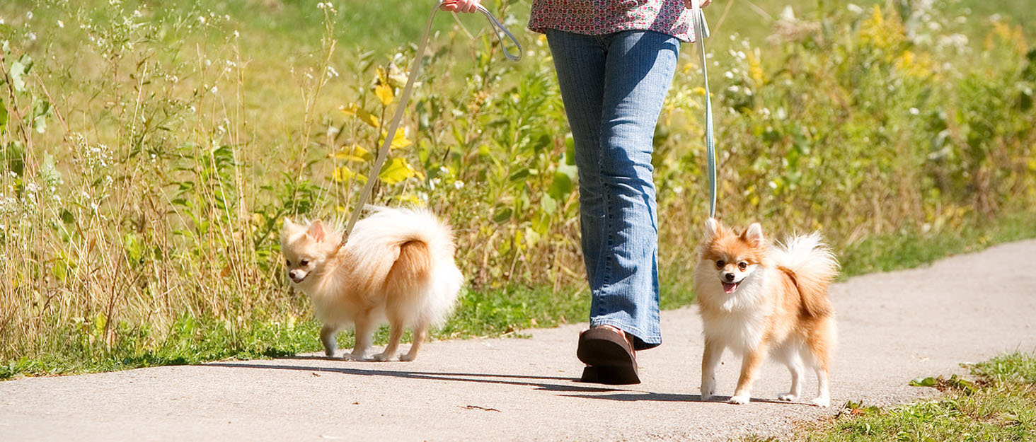 Складаний візок для собак на 2 яруси, переноска для домашніх тварин до 24 кг, візок для собак з сітчастими віконцями, ремінь безпеки, 4 колеса, складаний візок для котів та маленьких собак (колір: коричневий)