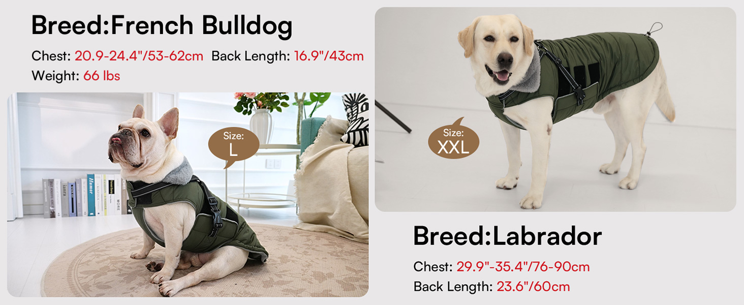 Зимовий теплий накид для собак ASENKU (S, M, L, XL) – водонепроникний, вітронепроникний, з відбиваючими елементами, з нагрудником, для маленьких, середніх та великих собак, зелений