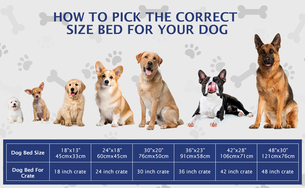 Килимок для собак BVAGSS XH080, 106x71 см, блакитний: двосторонній, прохолодний та теплий, для маленьких, середніх та великих собак