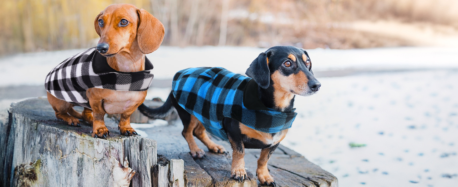 Зимовий теплий дощовик для собак XS, флісова куртка, дощовик для собак, 2 в 1, водонепроникний, вітрозахисний, з отвором для повідка, зелений