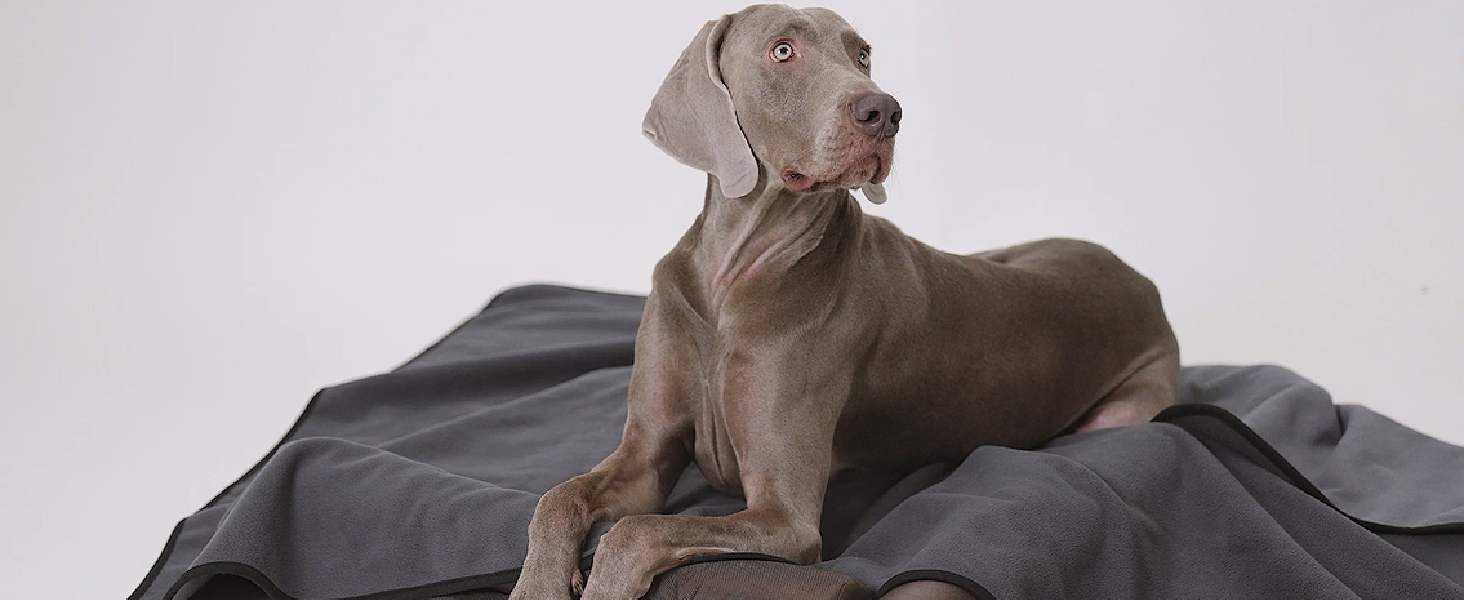 Водонепроникний коврик для собак PETTOM 152x127 см, м'який коврик для великих та маленьких собак, захисний коврик для дивана, ліжка, автокрісла, меблів - прання до 30°C (L, пісочний)