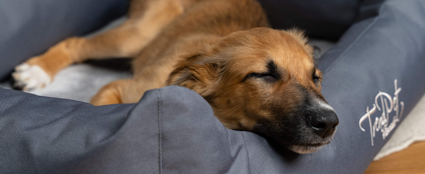 Ортопедичне собаче ліжко TrendPet Viscado сірого кольору, 100 см