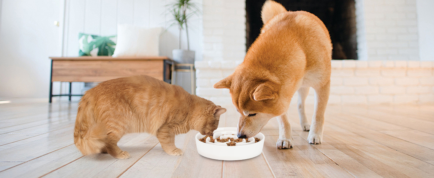 Антислизька годівниця для собак, Slow Feeder, кераміка, Ø 20.5 см, для середніх та великих собак, миюча, безпечна для їжі (біла)