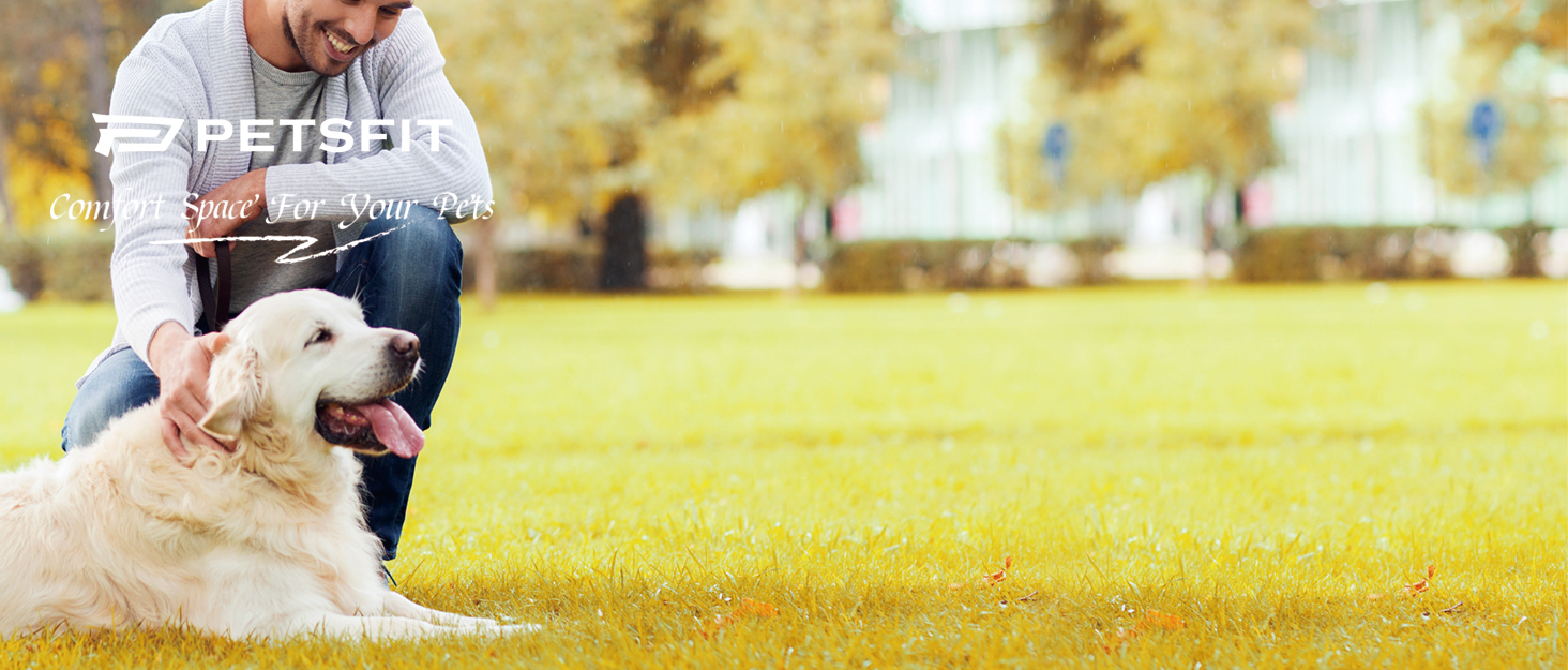 Клітка для собак Petsfit, розкладна, велика, середня, маленька, сіра, 100x64x63 см