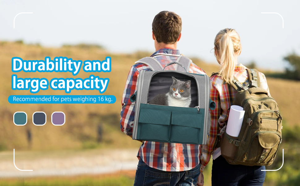 Рюкзак для тварин PETCUTE: переноска для собак та котів, знімний килимок, безпечний ремінь, зелений