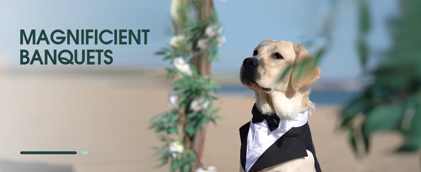 Костюм для собак Kuoser з банданою, теплий халат для собак з кріпленням для краватки, костюм для цуценят для собак, сорочка для вечірки на День народження, Хелловін, весілля, S-XXL, довжина спини M: 35 см, чорний