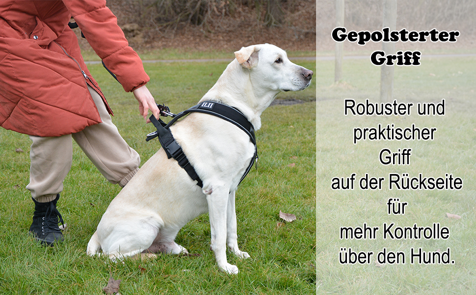 Нашийник для собак ILII - міцний, елегантний та комфортний. Унікальний дизайн для середніх та великих собак. Чорний, мінімальне покриття.