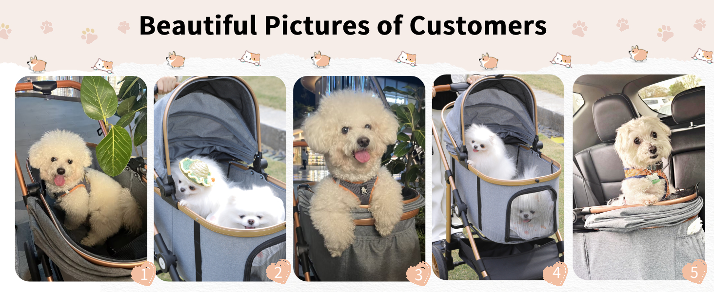 Візок для собак MAMIZO 3-в-1: переноска, візок, бугі для собак та котів (до 25 кг), чорний