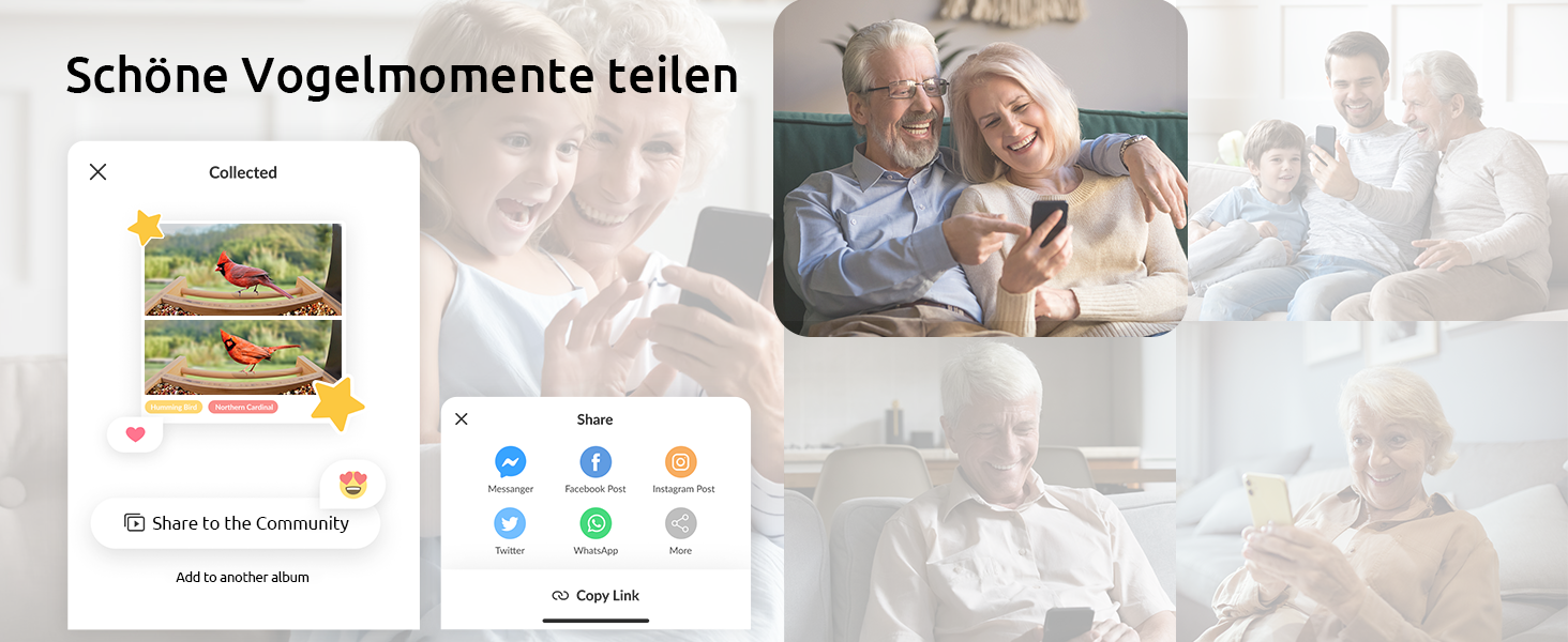 Розумна годівниця для птахів Netvue Birdfy з камерою, сонячною панеллю, 3L, автоматична ідентифікація птахів, для спостереження за дикими птахами