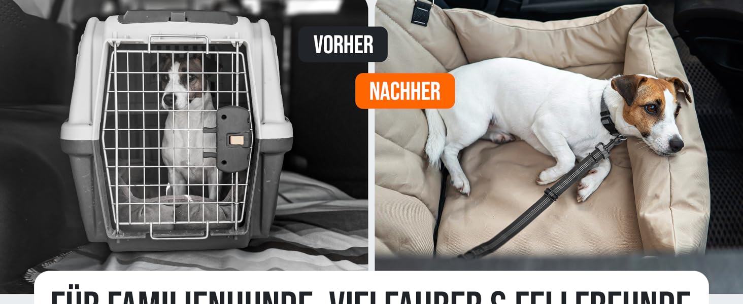 Автогурт для собак 'Argo' – регульований безпечний ремінь з амортизацією та ISOFIX, підходить для всіх порід (Чорний, S, 35-45 см)