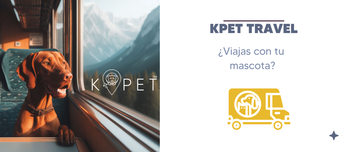 KPET® 2-в-1 складана годівниця для собак, 900 мл: миска для їжі та води, нержавіюча сталь, силікон, антиковзаюча, для подорожей