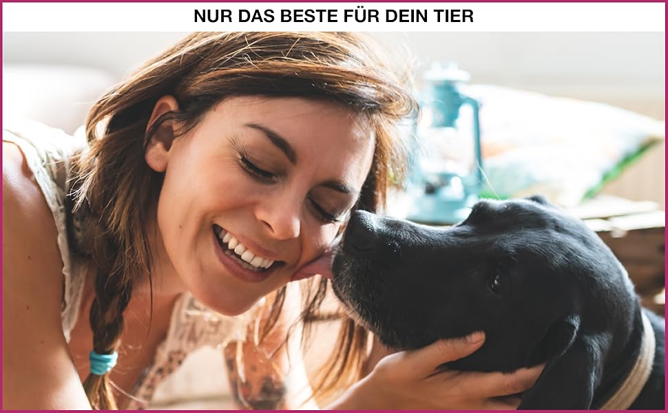 PETGARD Станція годування для собак з нержавіючої сталі - набір мисок - годівниця для собак Преміум класу - 61 x 35 x 28 см - об'єм 2 x 1500 мл