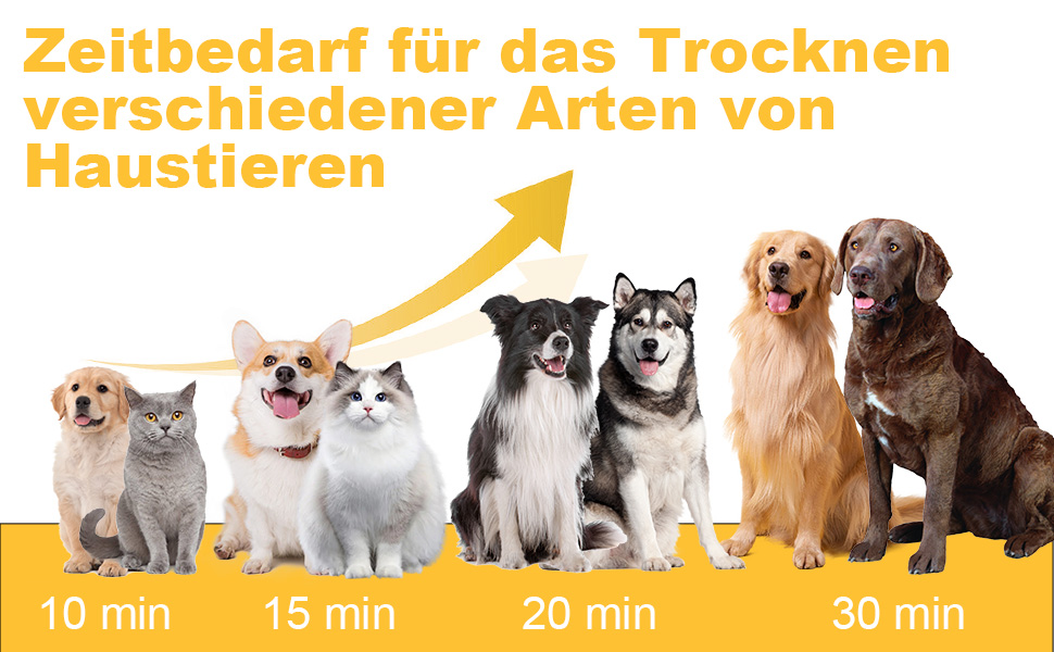 Фен для собак Kanonen-Stil білий 2400W, професійний собачий фен-сушарка з регулюванням швидкості та температури повітря, 1-9 рівнів, 35-60°C, #LYCSJDPWH-DE