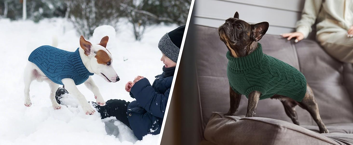 Пуловер для собак Queenmore Dackel, в'язаний водолазка для собак, підходить для Джек Рассел, Бульдог, Коргі, Французький Бульдог, Мопс (Синій, M)