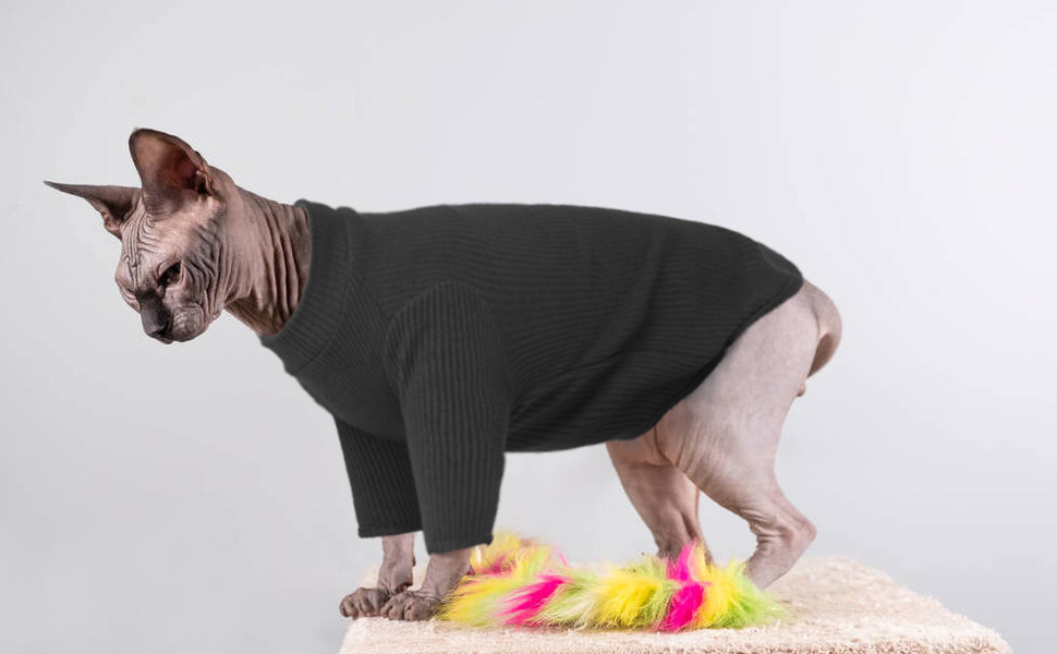 Одяг для безшерстних котів Sphynx: м'який пуловер з ролетним коміром, футболка, жилет. Чорний колір, розмір XL
