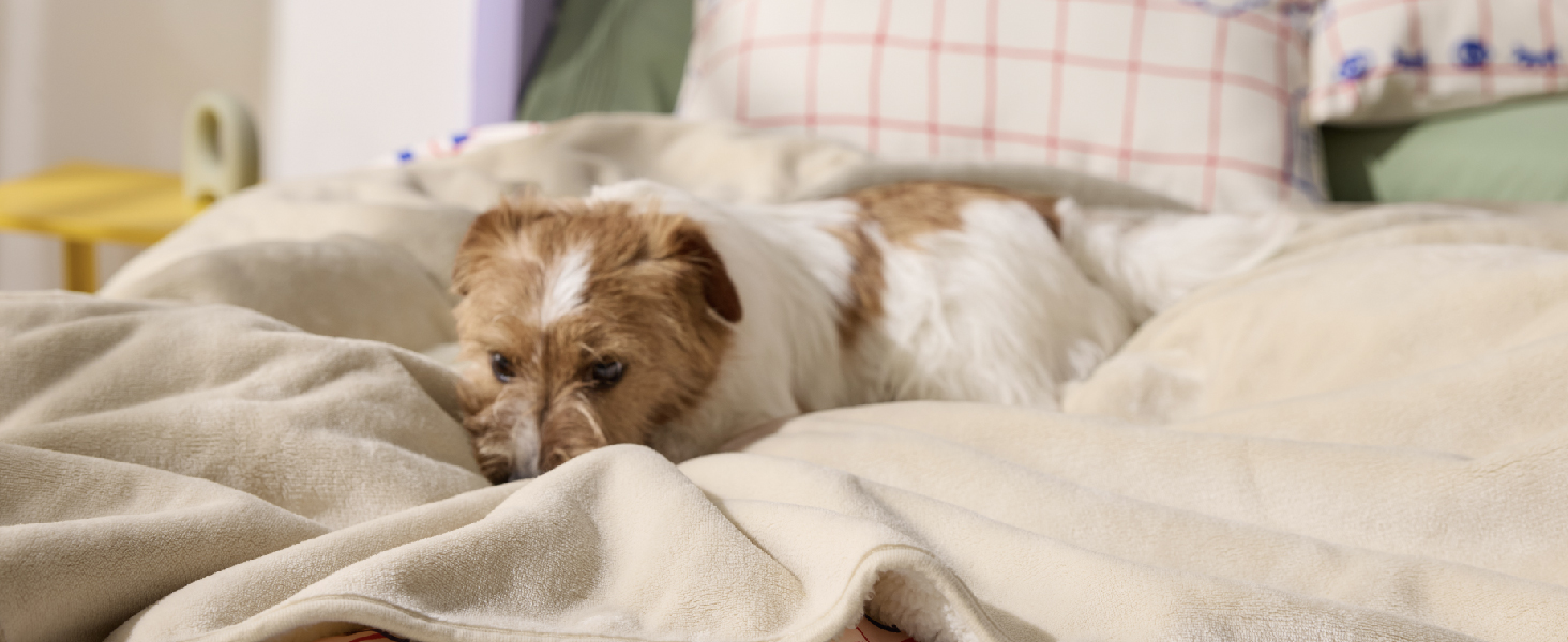Водонепроникний коврик для собак середнього розміру 80x100 см, миючий, м'який, кремовий колір