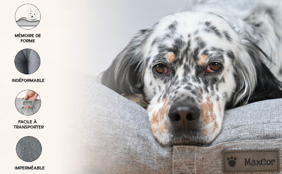 Ортопедична подушка для собак та котів, з меморі-піни, невелика, водовідштовхувальна, для суглобів, не деформується, бежева