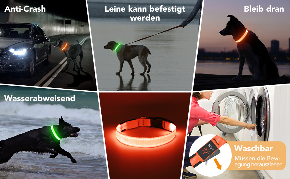 LED-нашийник для собак KOSKILL, перезаряджається через USB, водонепроникний, світлодіодний, регульований, надзвичайно яскравий, для середніх та великих собак (зелений, M)