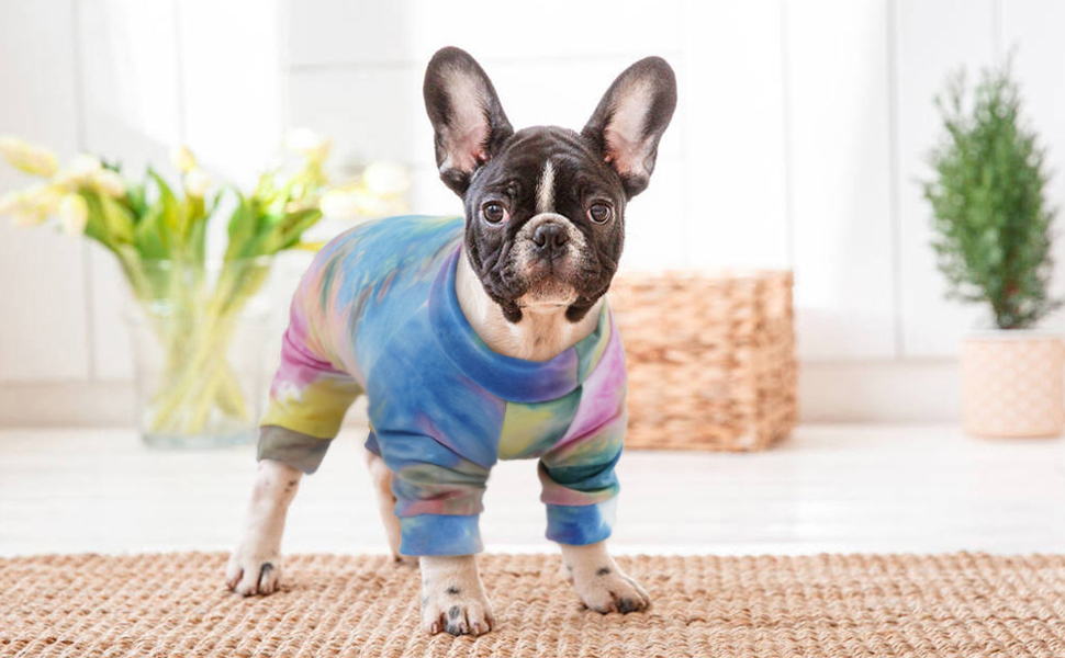 Зимовий теплий жилет для собак, куртка-комбінезон на 4 лапи, вітронепроникний одяг для собак, жилет, куртка, одяг для собак, сорочка для маленьких, середніх та великих собак (Райдуга, M)