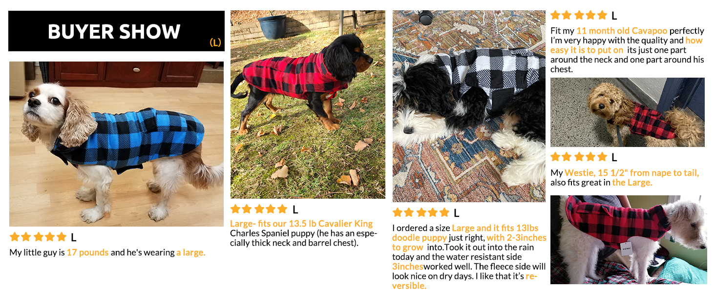 Зимовий теплий дощовик для собак XS, флісова куртка, дощовик для собак, 2 в 1, водонепроникний, вітрозахисний, з отвором для повідка, зелений