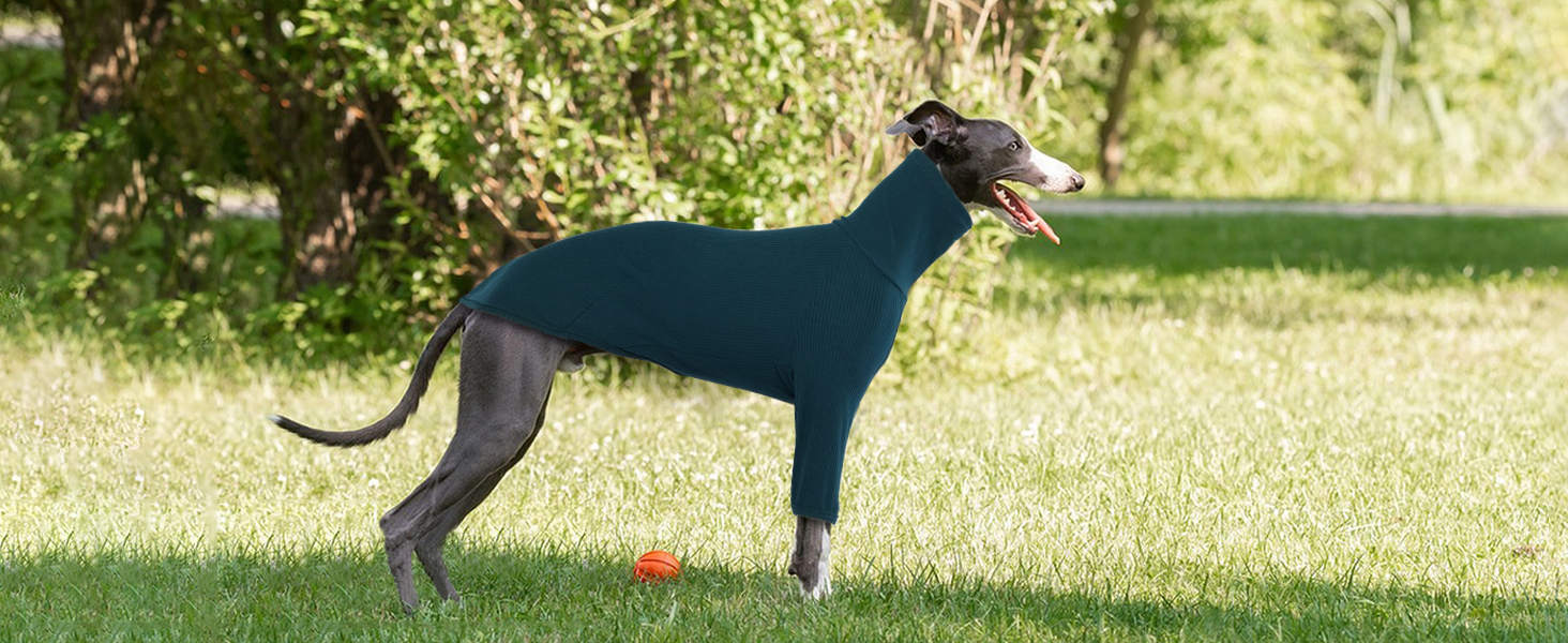 Теплий плед-пуловер для віндхунда (Greyhound) та породистих собак, зимова куртка, блакитний, XXL