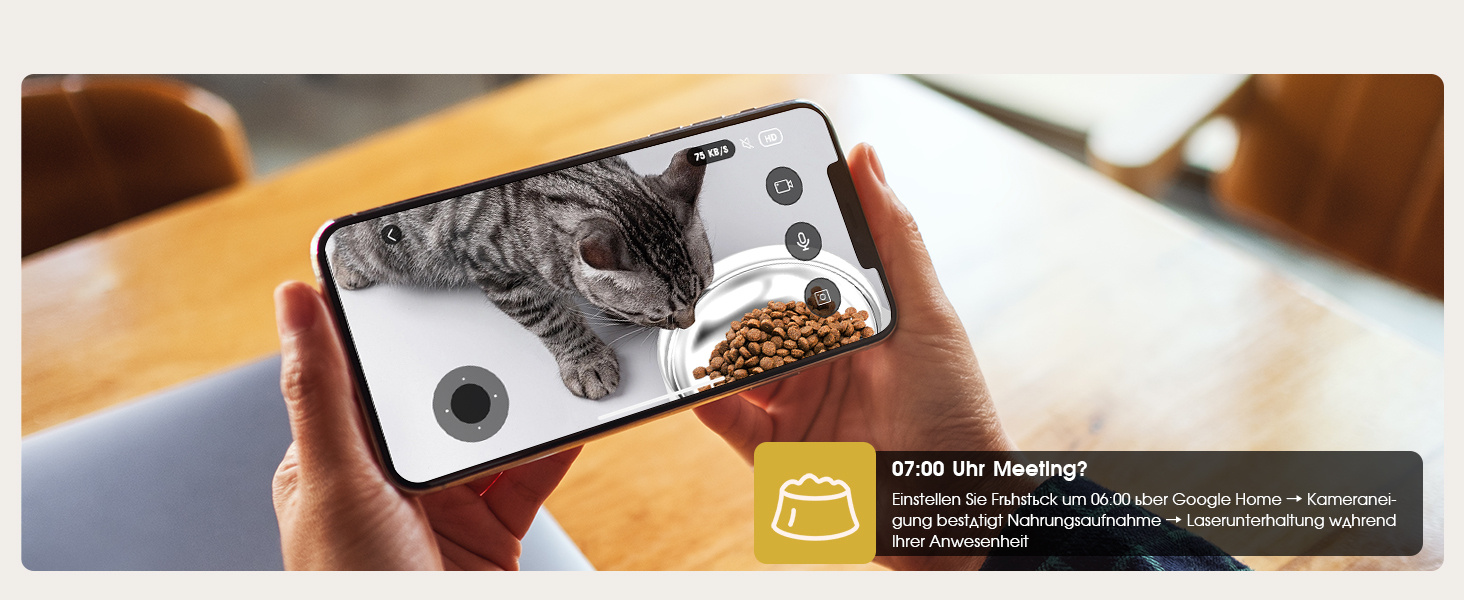 Автоматичний годівниця для котів з таймером: зручний та надійний автодозатор корму