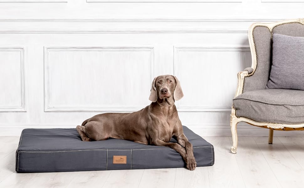 Ортопедичний лежак для собак Tierlando® Hugo Ortho Plus: антиковзаюча підкладка, матеріал Anti-Hair Polyester, для великих собак, 120x90 см, сірий