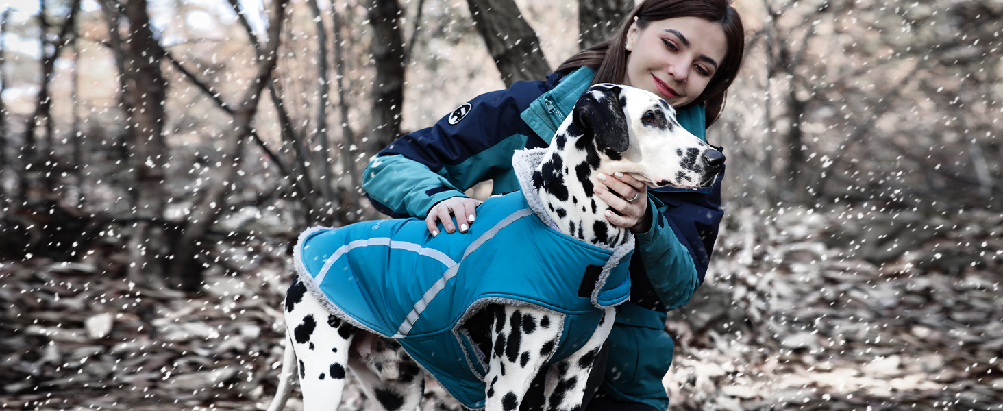 Теплий зимовий одяг для собак VIVAGLORY Frostfit: софтшелл з підкладкою з флісу, захист від снігу та холоду, світловідбиваючі елементи, сірий, XS (37-44см)