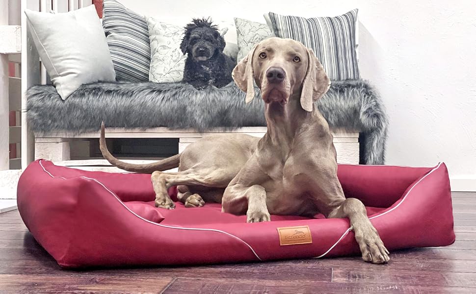 Ортопедичне ліжко для собак Tierlando® William Easy-Clean, 90x75 см, з memory foam матрацом, штучна шкіра, для алергіків | Колір: Кремовий