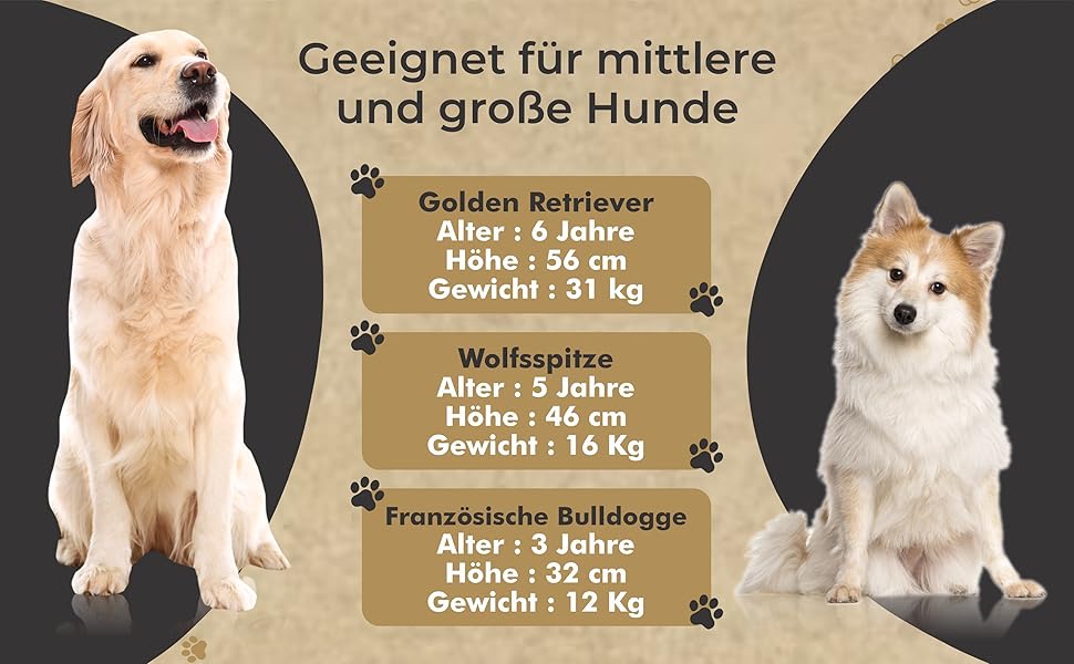 Миска для собак Anti Schling Napf з щіткою для легкого очищення, об'єм до 700 мл, з антиковзаючою основою, для середніх та великих собак, чорна