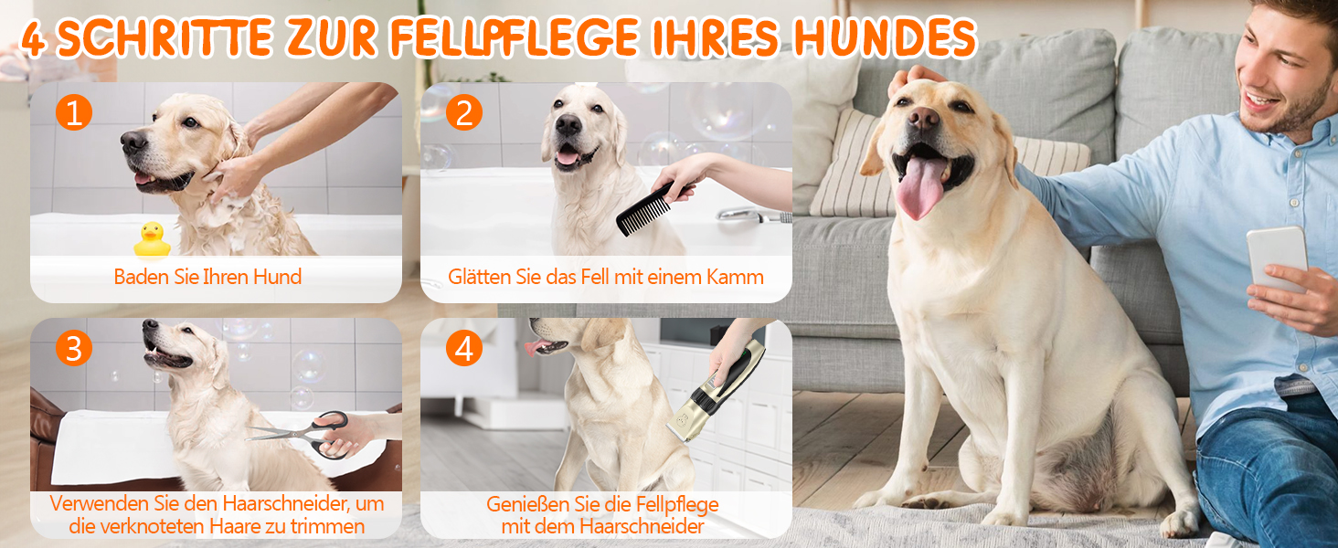 Машинка для стрижки собак та котів YAZ EKY Profi Leise – професійна тиха машинка з 4 насадками, 6500 RPM, для тіла, обличчя, вух та лап, золота