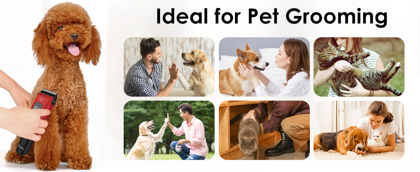 Професійна машинка для стрижки собак Hatteker: електрична, бездротова, з підсвічуванням, 7500 RPM