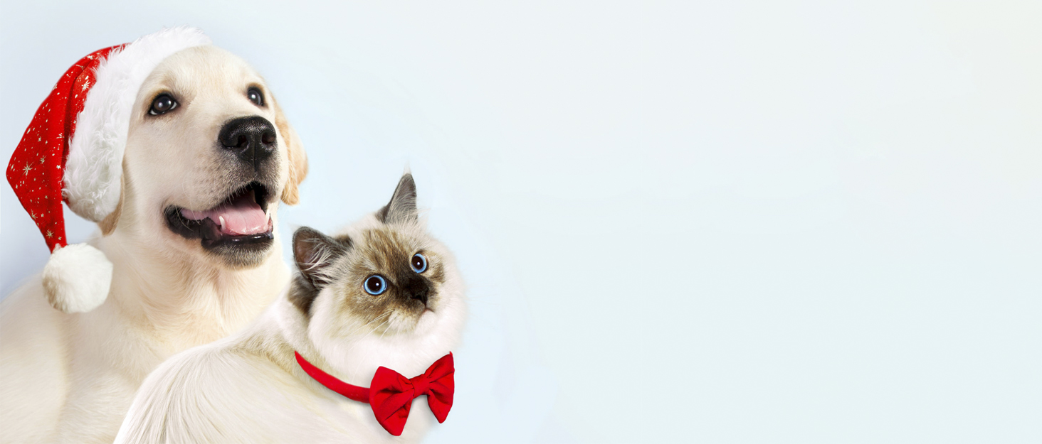 Бездротовий триммер для лап тварин, тиха машинка для собак з LED-підсвіткою, перезаряджувана для собак, котів, лап, очей, вух, обличчя, тіла, зелений