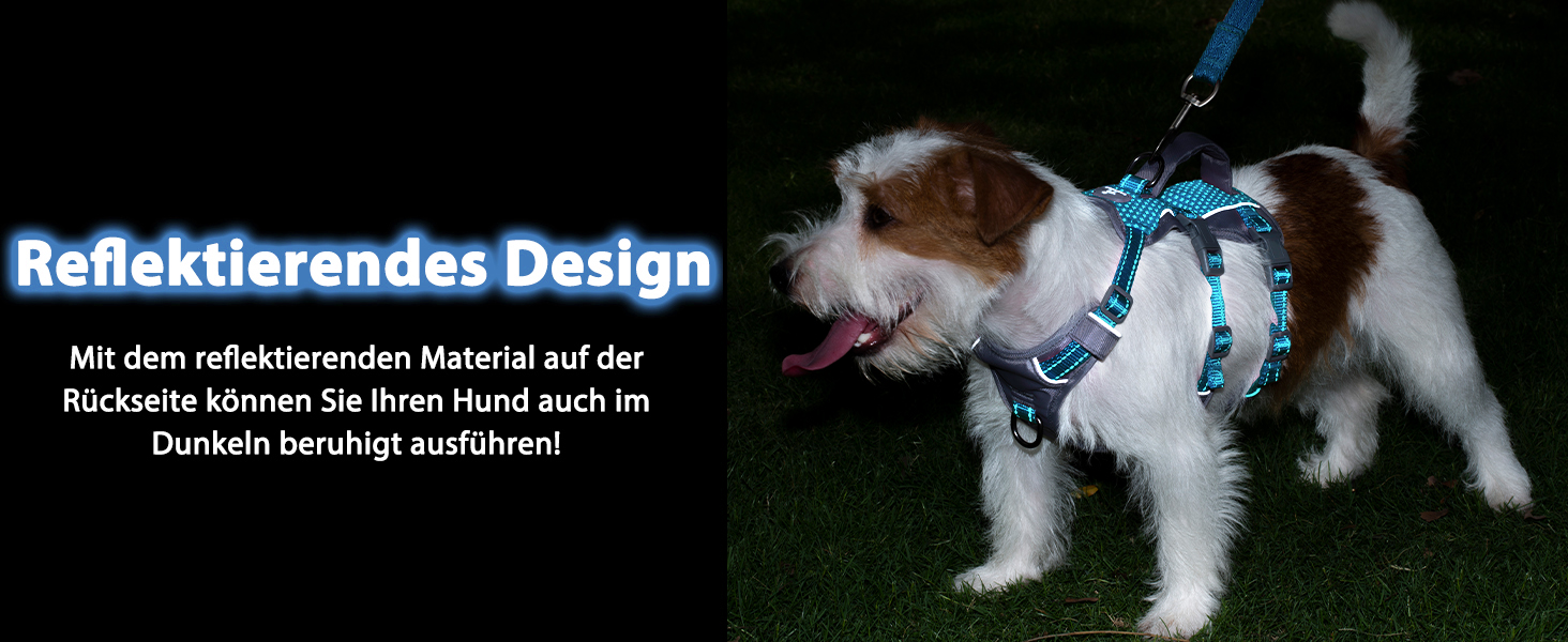 Нашийник-шлейка Huntboo для собак, анти-випадковий вихід, для панічних собак, світловідбиваючий нашийник з ручкою, регульований (S, 1 шт., блакитно-зелений)