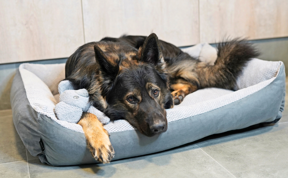М'яке ліжко для собак Teo 120x100 см, сіре - знімний чохол, кошик для собак середніх порід