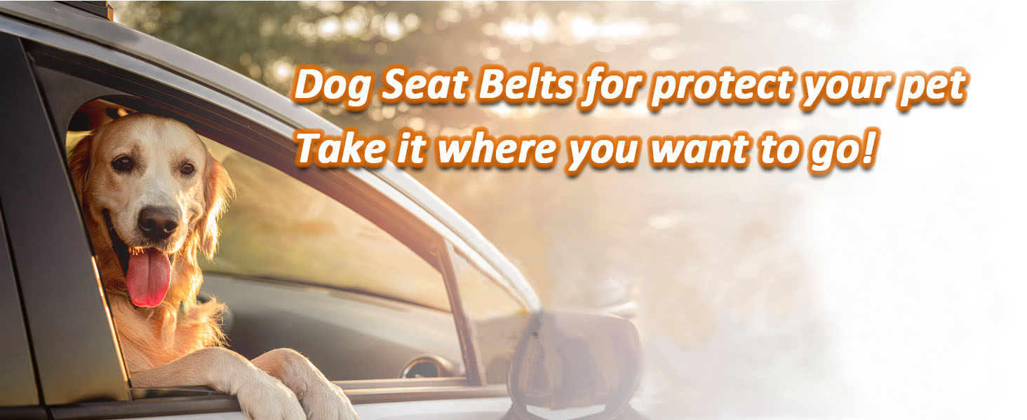 Нашийник для собак у багажник авто, 2 шт. - фіксація, безпека, комфорт під час подорожей, для всіх порід, з еластичною амортизацією та міцними карабінами (сірий)