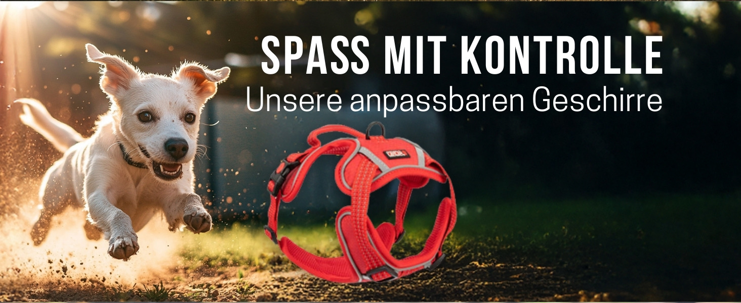 Рулетка для собак KONG Terrain, середнього розміру, фуксія